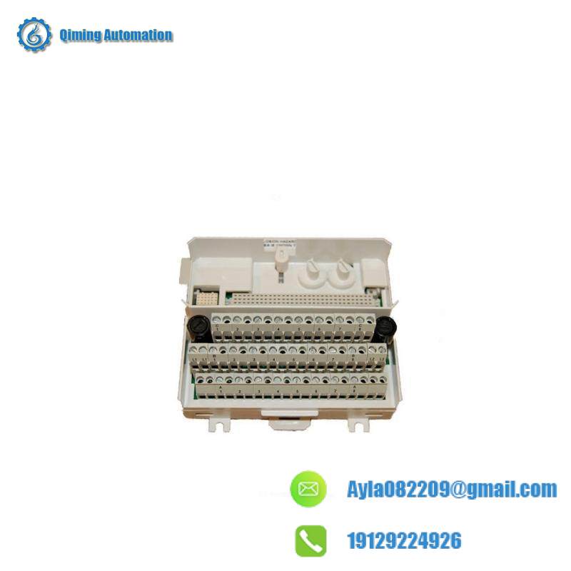 ABB TU839-TU836V1 Extension for DO820, DO821, with Insurance 2x4: Advanced Control Module