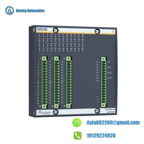 BACHMANN DIO248 | BACHMANN ELECTRONIC DIO248