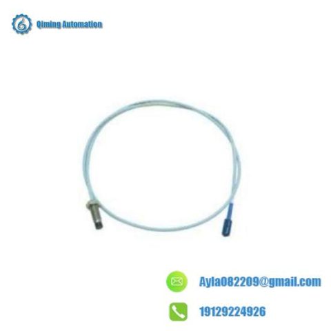 BENTLY NEVADA 137479-038-10-02: Swift Delivery, Precision Control Module