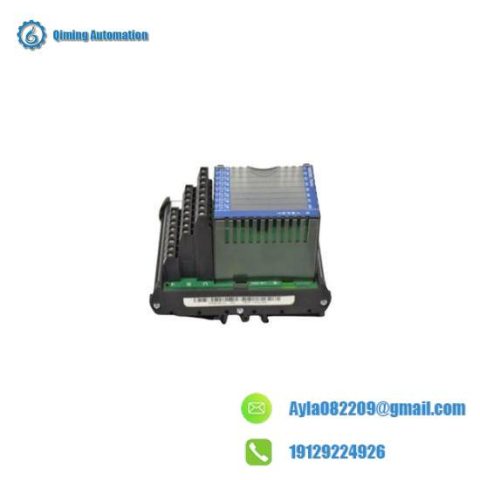 FOXOBORO FBM206 P0916JQ Terminal Assembly