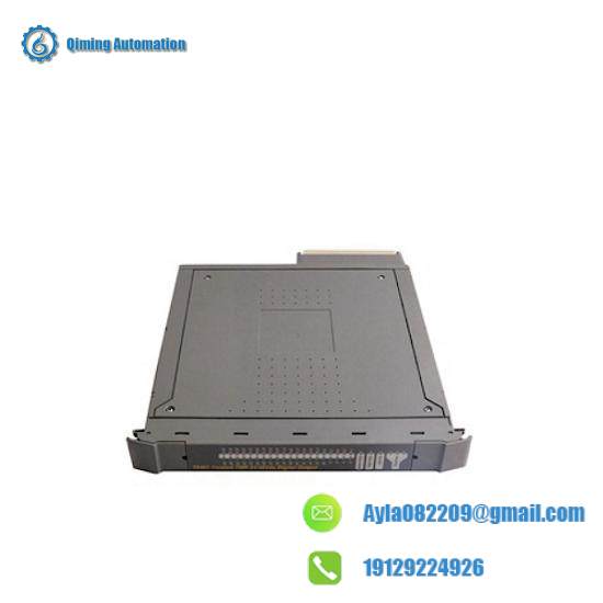 ics_triplex_t8231_3.jpg ICS Triplex T8231 - Customized Industrial Control Module