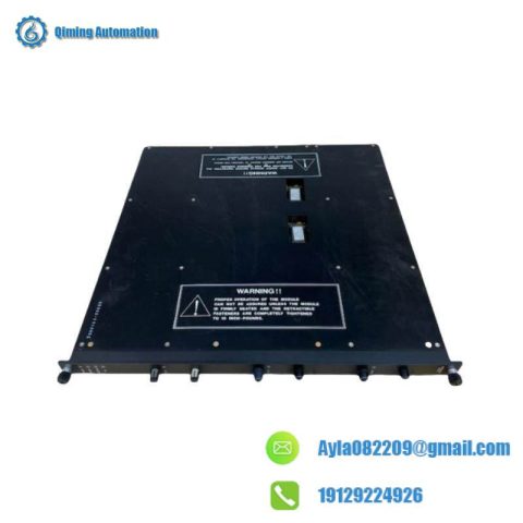 Triconex 4200N Analog Input Module: Advanced Process Control Solutions