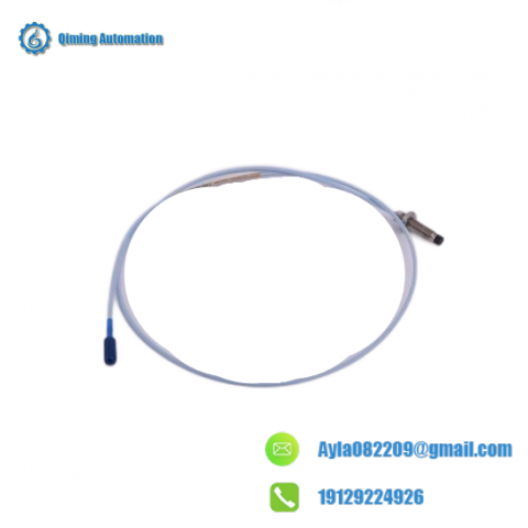 Bently Nevada 21000 Series Control Module, High Performance, DCS System