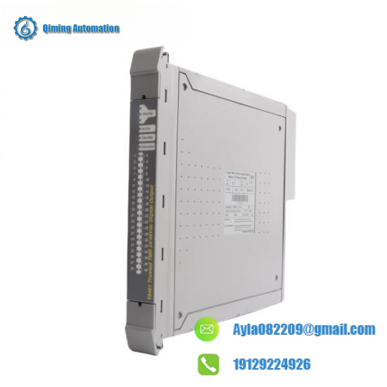 ics_triplex_t8461_2.png ICS TRIPLEX T8461 Digital Output Module