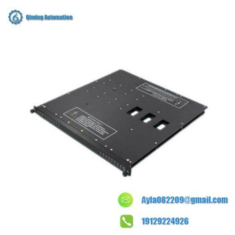 TRICONEX AO2481 High-Performance Analog Output Module