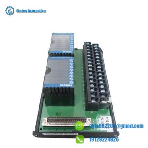 Foxboro P0973ER Module