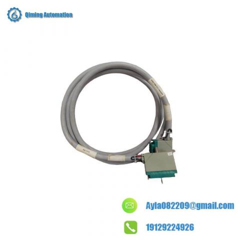 TRICONEX 4000093-310 Digital Communication Fieldbus Signal Module