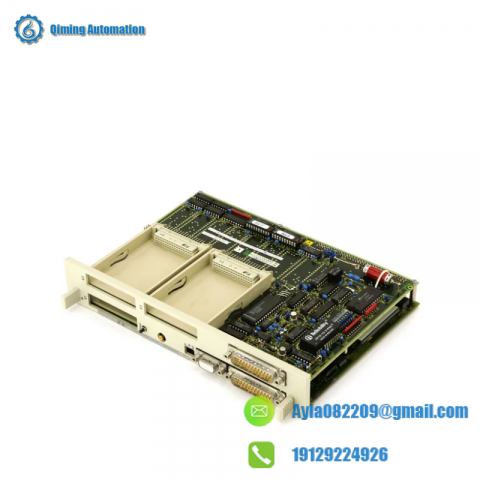 HOLLYSYS FM147DCS Module for Advanced Process Control, Specialized in Industrial Automation